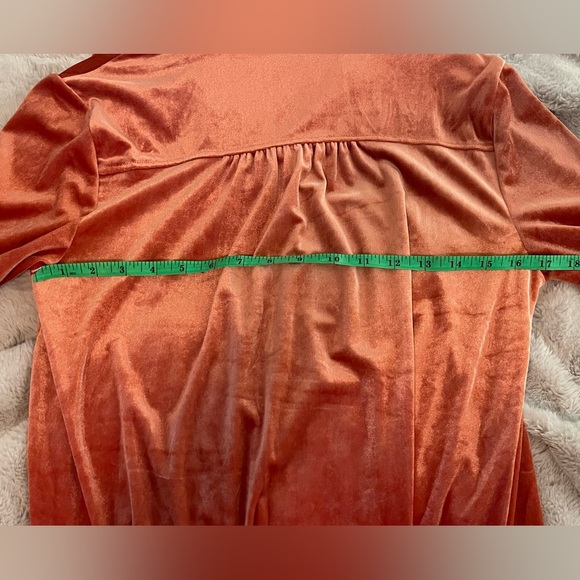 Velvet Button-Up Dress in Rust in size Medium excellent condition - Picture 5 of 9